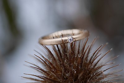 Hauptgaleriebild der Ringschmiede: RUNDE RINGE